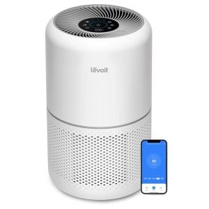 Air Purifiers for Home