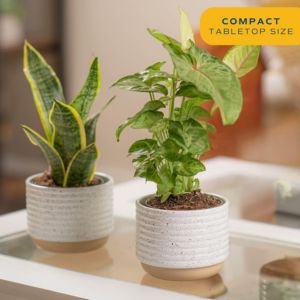 Ideas for small spaces